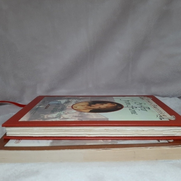 Dear America Series Chapter Book Set - Picture 4 of 4